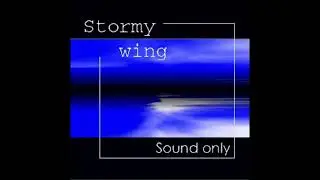 SHIKI - Stormy Wing -More Happy Style-