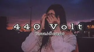 440 volt song (slowed reverb) song #video #viral #trending #salmankhan # youtube video