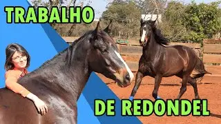 DOMA - Rodando no Redondel