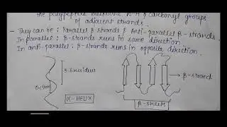 Secondary structure of proteins ( alpha helix , beta sheets,turns and loops ) #youtube #science #msc