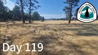 Day 119 - Cruising in 95°F/35°C, Hot, Hot, Hot! - Pacific Crest Trail 2025
