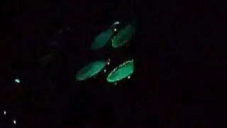 BSB Unbreakable Tour - Nick Carter playing drums