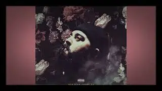 Body Bag Ben - Etude In Gold