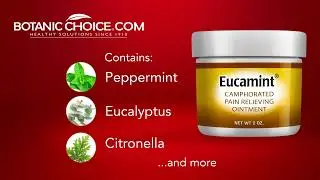 Botanic Choice: Eucamint Fast Acting Pain Relieving Ointment Since 1910