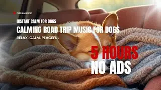 Calming Road Trip Music for Dogs | Relaxing Sleep Sounds for Pets in the Car