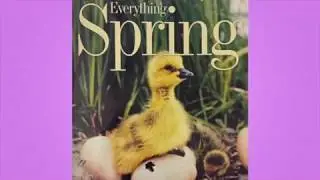 National Geographic Kids: “Everything Spring” by Jill Esbaum