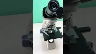 Would you still drink beer after seeing it magnified 400 times? #microscope