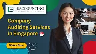 Company Auditing Services in Singapore with 3E Accounting #companyaudit #auditingservices #business