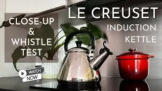 Le Creuset Kone Induction Kettle Whistle Test | Real Use Demo