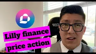 Lilly Finance price action