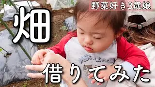 野菜が好きすぎる3歳娘と楽しむために畑を借りてみた。