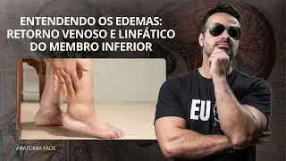 AO VIVO: Entendendo os edemas: Retorno venoso e linfático do membro inferior - #anatomiafacil