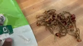 How to make our own pure chili powder
