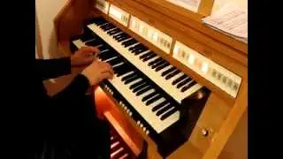 Johannus Opus 20 - chci-varhany.cz