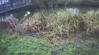 river work