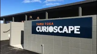 Wildlife information centre opens at Curio Bay