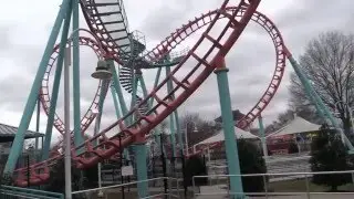 Carolina Cobra In Hibernation