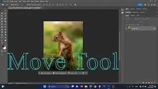 How to work with Move Tool