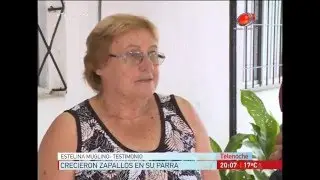 Zapallos en el aire.