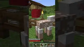 Shearing the Colorful Sheep #cozygames #minecraft #gaming  #minecraftbuilding #minecraftsurvival