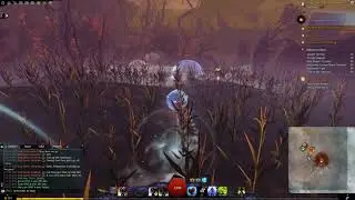 GW2 - Roller Beetle: Roll into Madness (39.760)