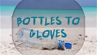 Bottles To Gloves- DPL's New Eco Friendly Range