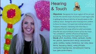 Auditory Transduction and Sense of Touch