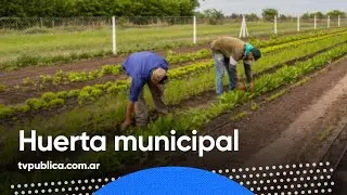 Huerta Municipal de Vedia - Mañanas Públicas