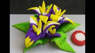 Color Bloom Fantasy