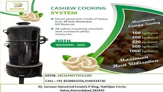 50 kg cashew cooking system gas operating DIVINE GROUP #shorts#