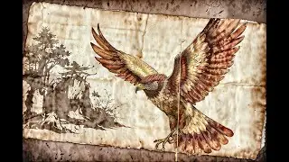 How To: Make Hawk