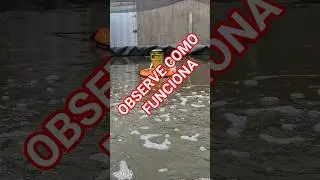 OBSERVE COMO FUNCIONA #musica #music #agro #fishing #tilapia #peixes #shorts
