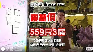 五哥西沙灣Sierra Sea震撼價559尺3房