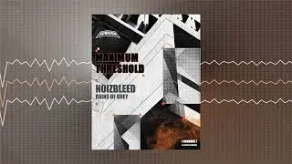 Noizbleed - Rains of Grey