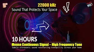 🐭 Mouse Continuous Signal &ndash; High Frequency Tone | Ultrasonic Style Rodent Sound All Night for Home