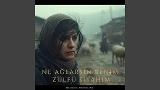 Ne Ağlarsın Benim Zülfü Siyahım