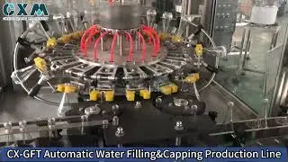 Automatic Water Filling Line | Bottled Water Filling and Packaging Machine