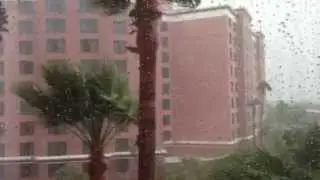 OMFG RAIN!!!! #playlistlive