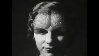 Flavor Crystals - Eyes Go White