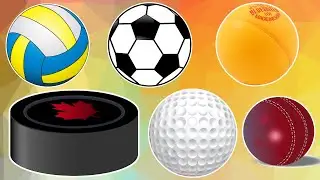 Learn Sports Balls in English for Everyone | Football, Basketball, Volleyball, Tennis Ball