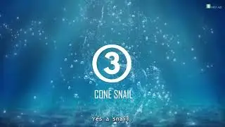 Top 5 Most Venomous Marine Animals in Australia