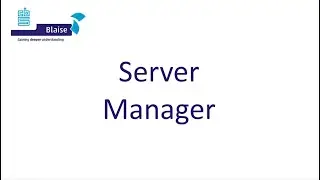 Blaise 5 Server Manager
