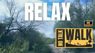 Vistancia / Peoria AZ Trails for Treadmill - Short Walk 5 minutes - No Talk Walk 4k