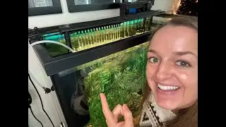 Внутренний фильтр для аквариума Hygger, регулируемая скорость потока, 4 в 1 &mdash; ОБЗОР
