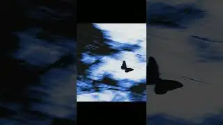 Heavy Shoegaze x Alt rock x Basement type beat - Ease #alternativebeats #altrocktypebeat #beats