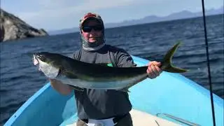 Panchos SportFishing Loreto BCS