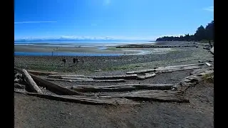 Miracle Beach - Vancouver Island Destinations - Edward Homer