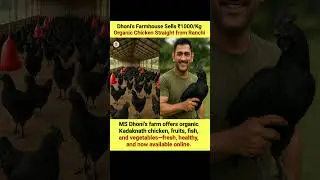 Dhoni&rsquo;s Farm Sells ₹1000/Kg Organic Chicken & Fresh Produce 🍗🌿 #Dhoni #Organic