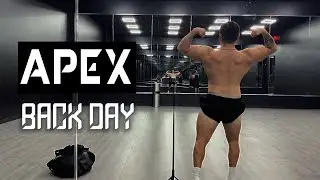 APEX GYM - BACK DAY