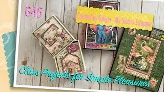 G45 Class Projects for Simple Pleasures